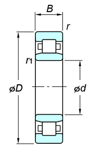 Single-row cylindrical roller bearing