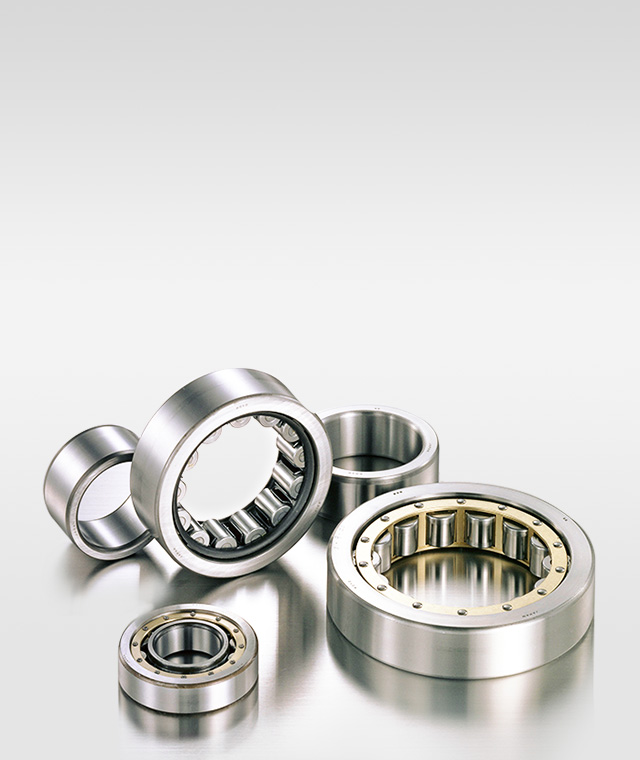 What Are Roller Bearings?