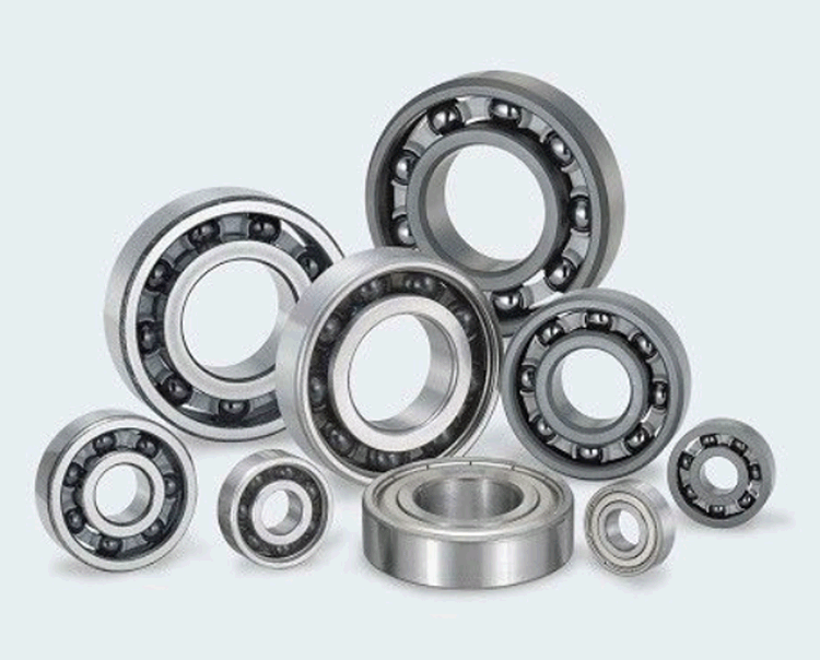 Corrosion-resistant ceramic bearings