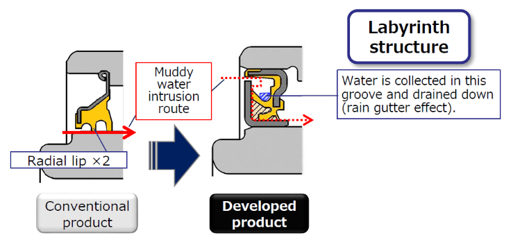 the labyrinth structure