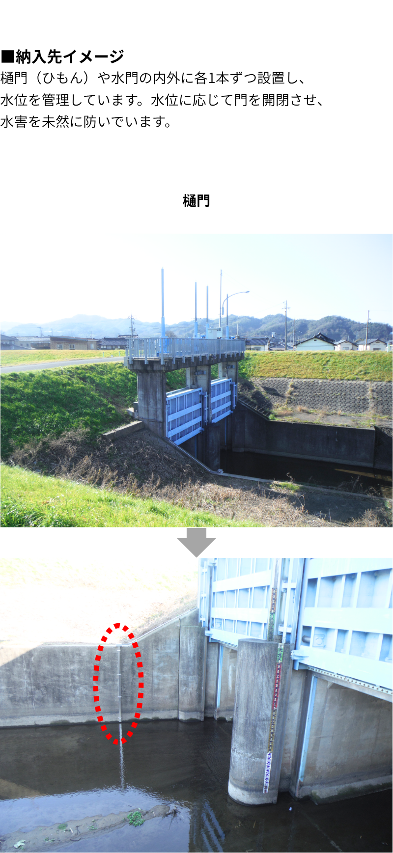 海水・汽水域での水位計活用事例